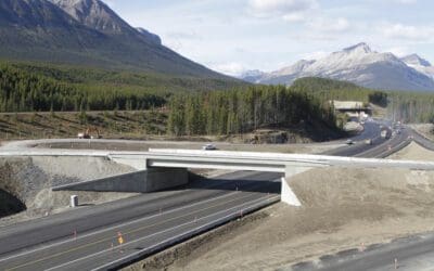 Icefields Interchange Design-Build